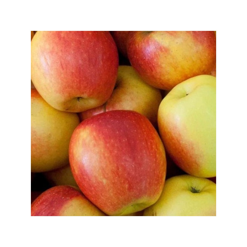 Pomme DALINETTE BIO (1kg)