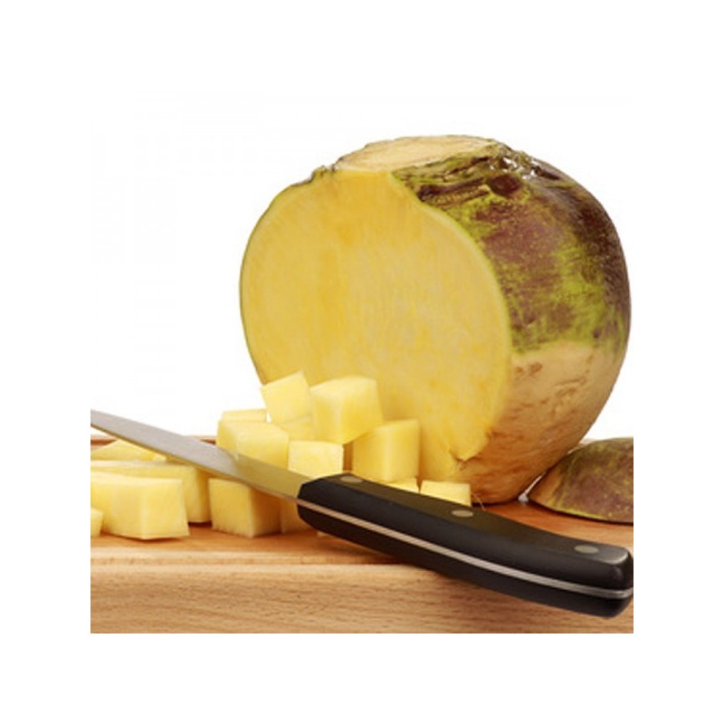 Rutabaga BIO (1KG)