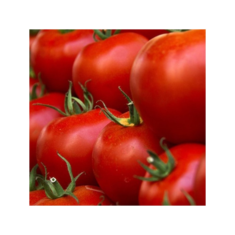 Tomates rondes BIO (1KG)