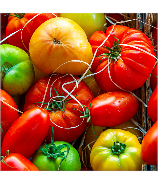 3KG Tomates anciennes BIO