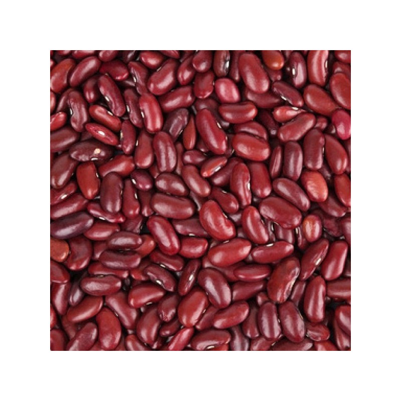 2KG Haricot rouge BIO