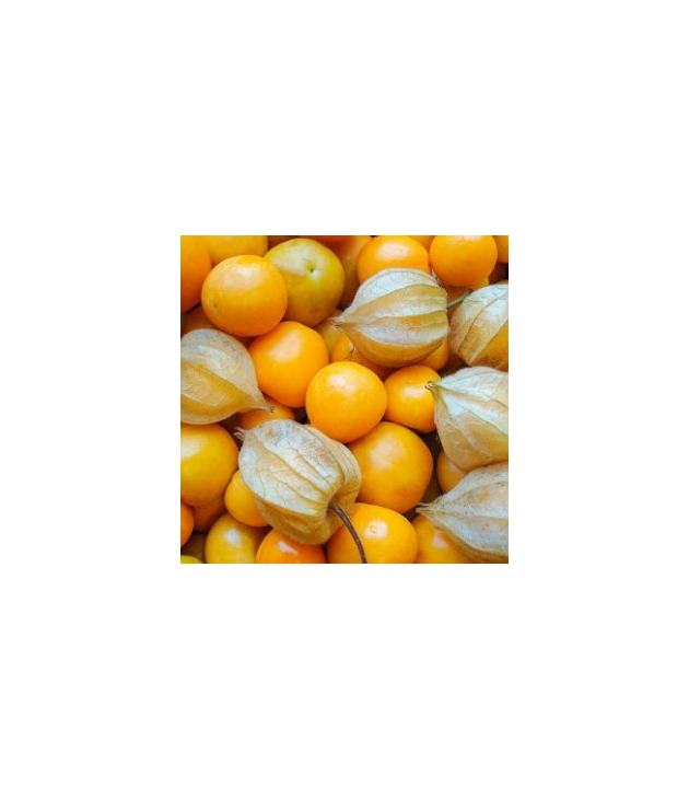 Physalis bio (250G)