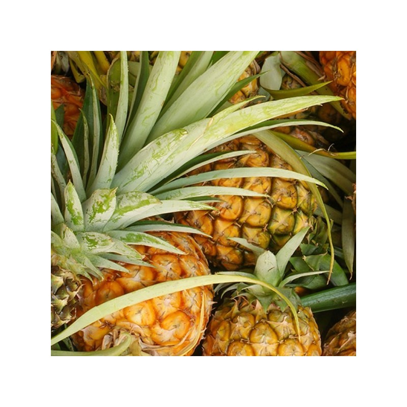 Ananas BIO (pièce)